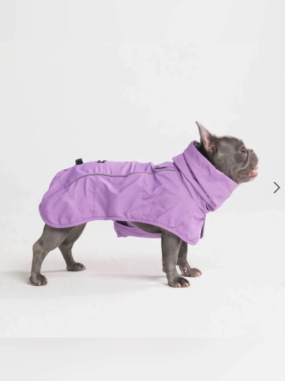 Breatheshield™ Dog Raincoat - Purple 2XL